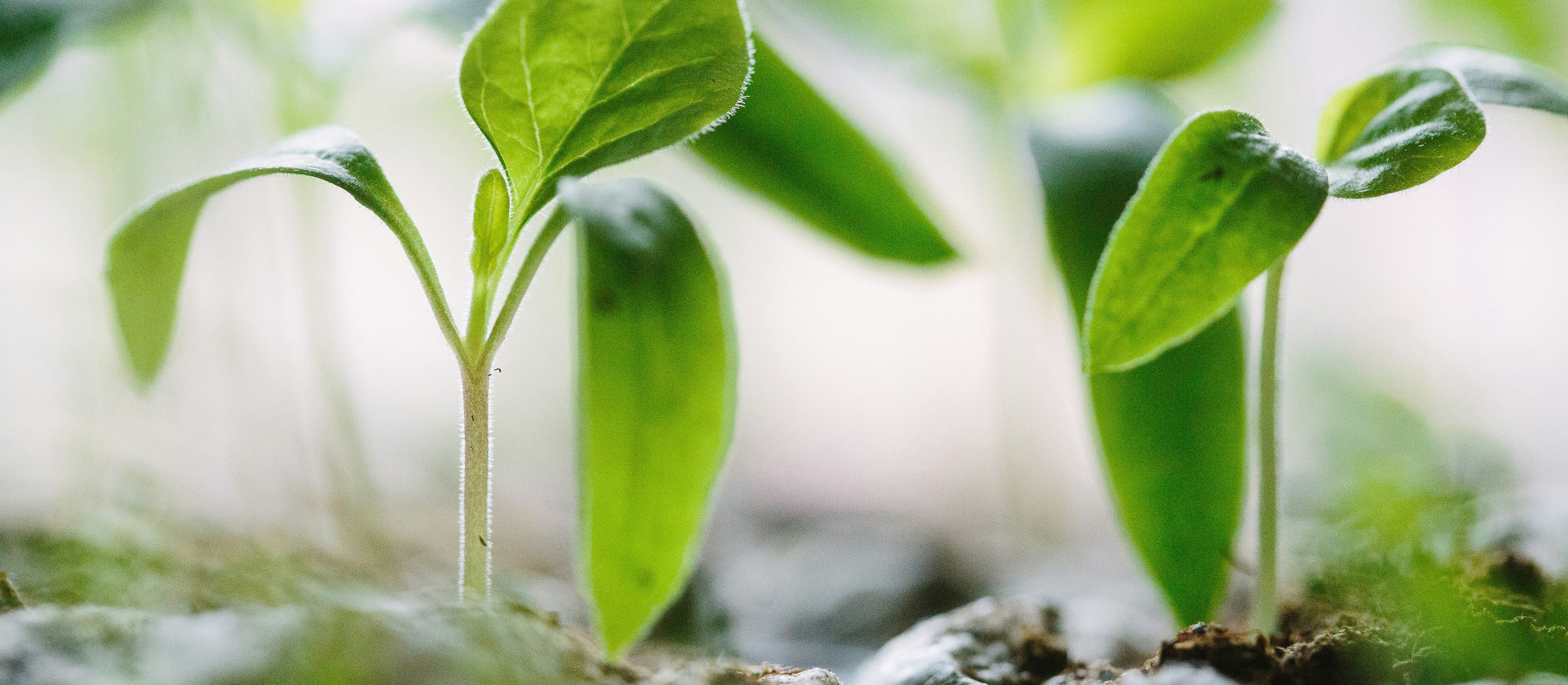 Modern farming with Degree Days